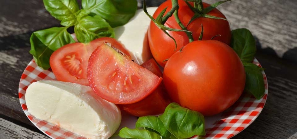 Ausbildung zum Ernährungstrainer