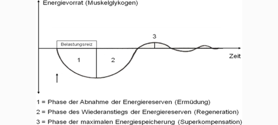 Superkompensation