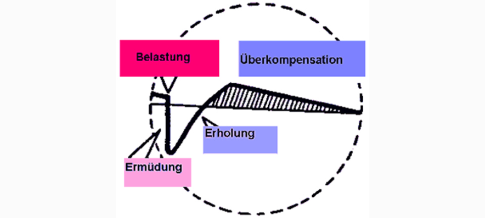 Schematische Darstellung