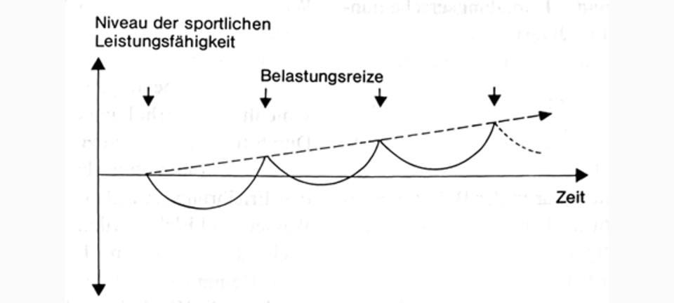 Verbesserung der sportlichen Leistungsfähigkeit 