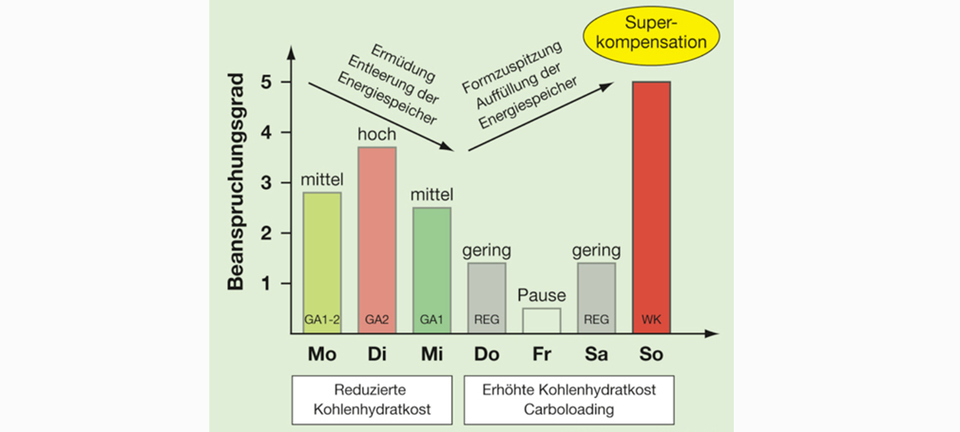 Gestaltung einer Wettkampfwoche 