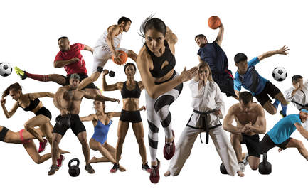 Fachtrainer