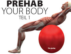 Prehab-Workout
